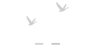 Logo Grey Goose